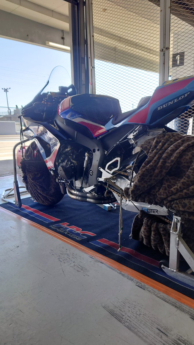 くおんじ@SENA tweet media