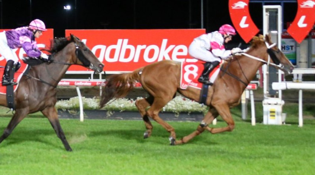 ATB Tasmania tweet media