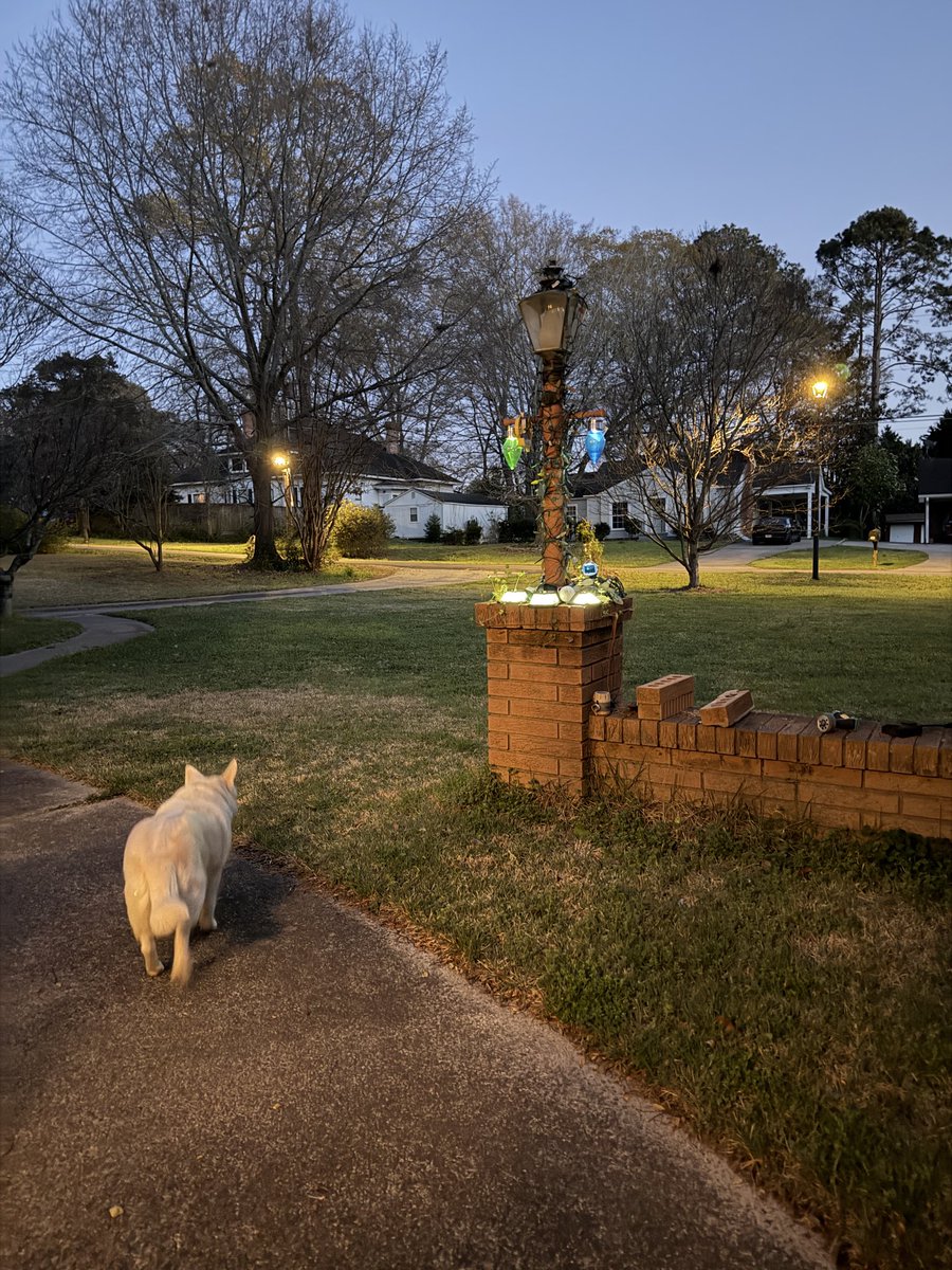 stanley lines tweet media