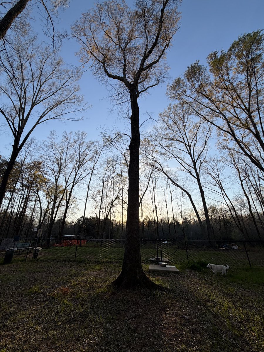 stanley lines tweet media