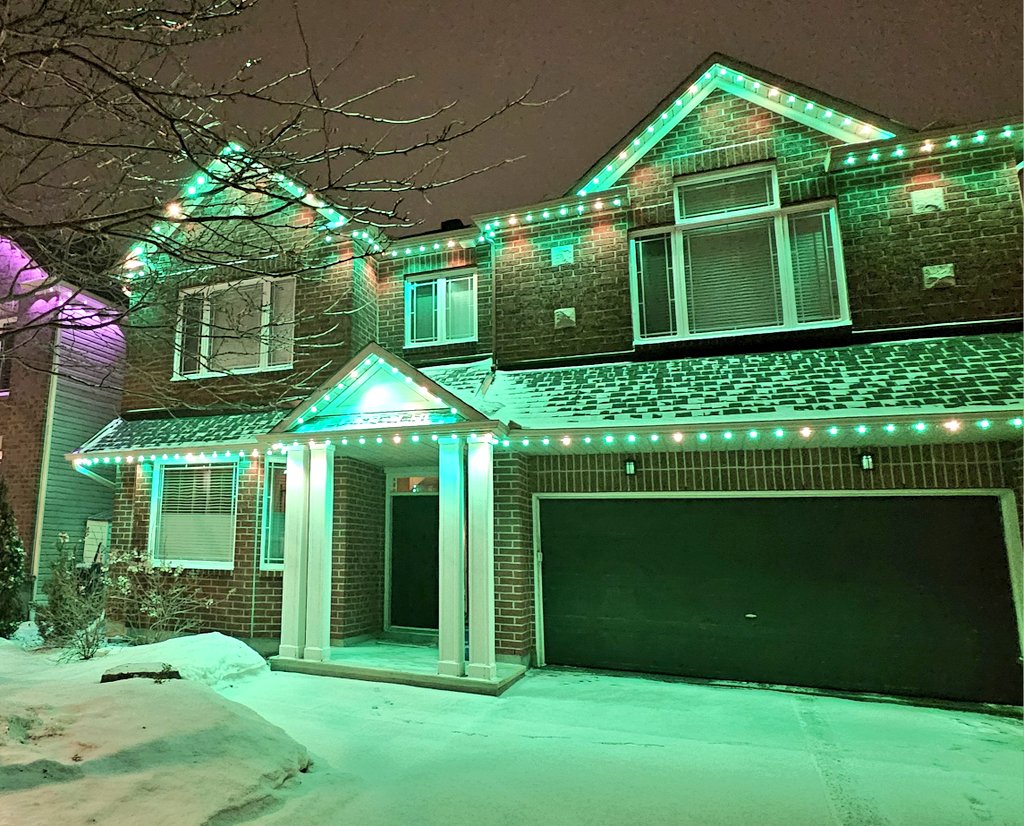 CanadianBlackBear🇨🇦 (CanadianPenny🌈) tweet media