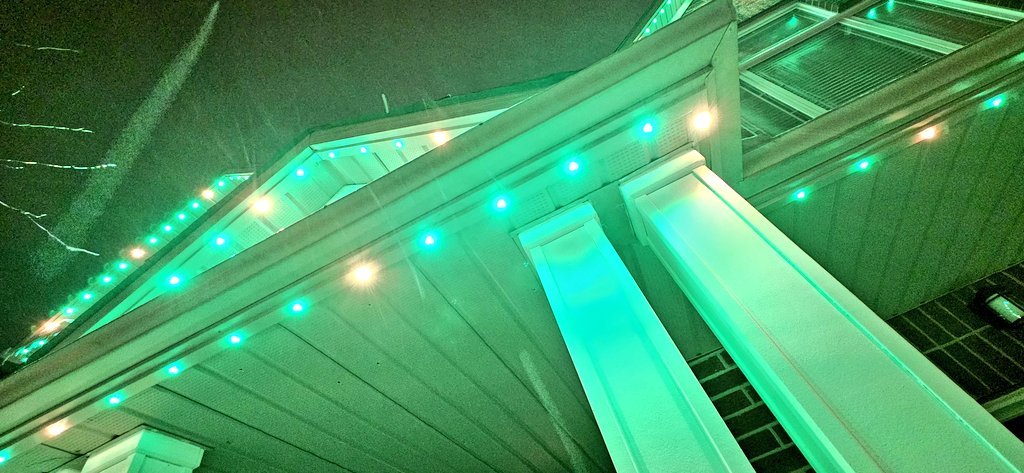 CanadianBlackBear🇨🇦 (CanadianPenny🌈) tweet media