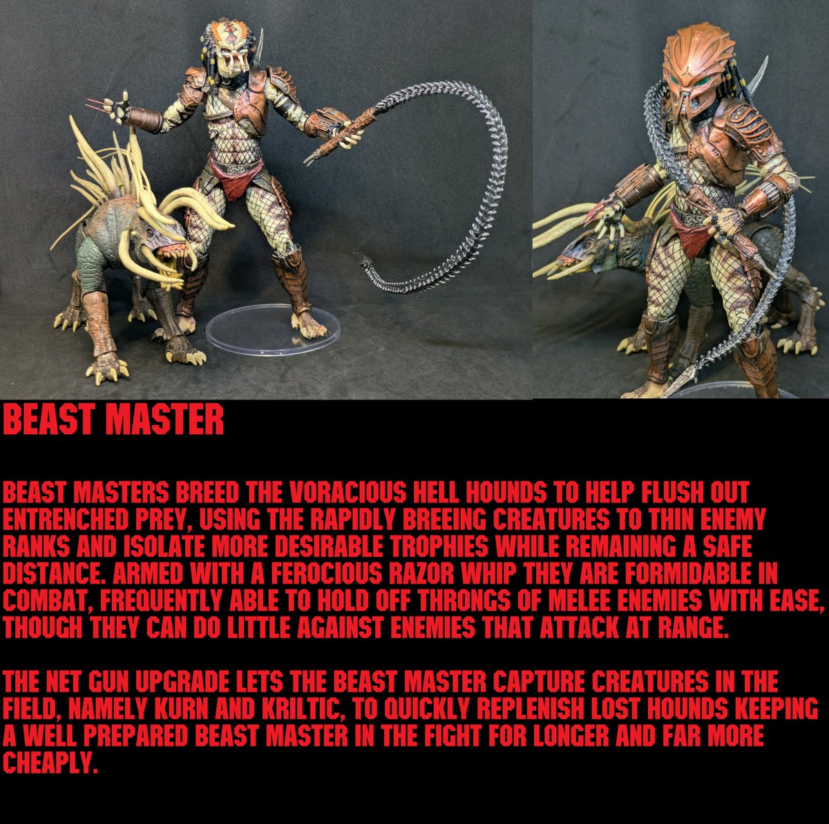 Dane Mercer tweet media