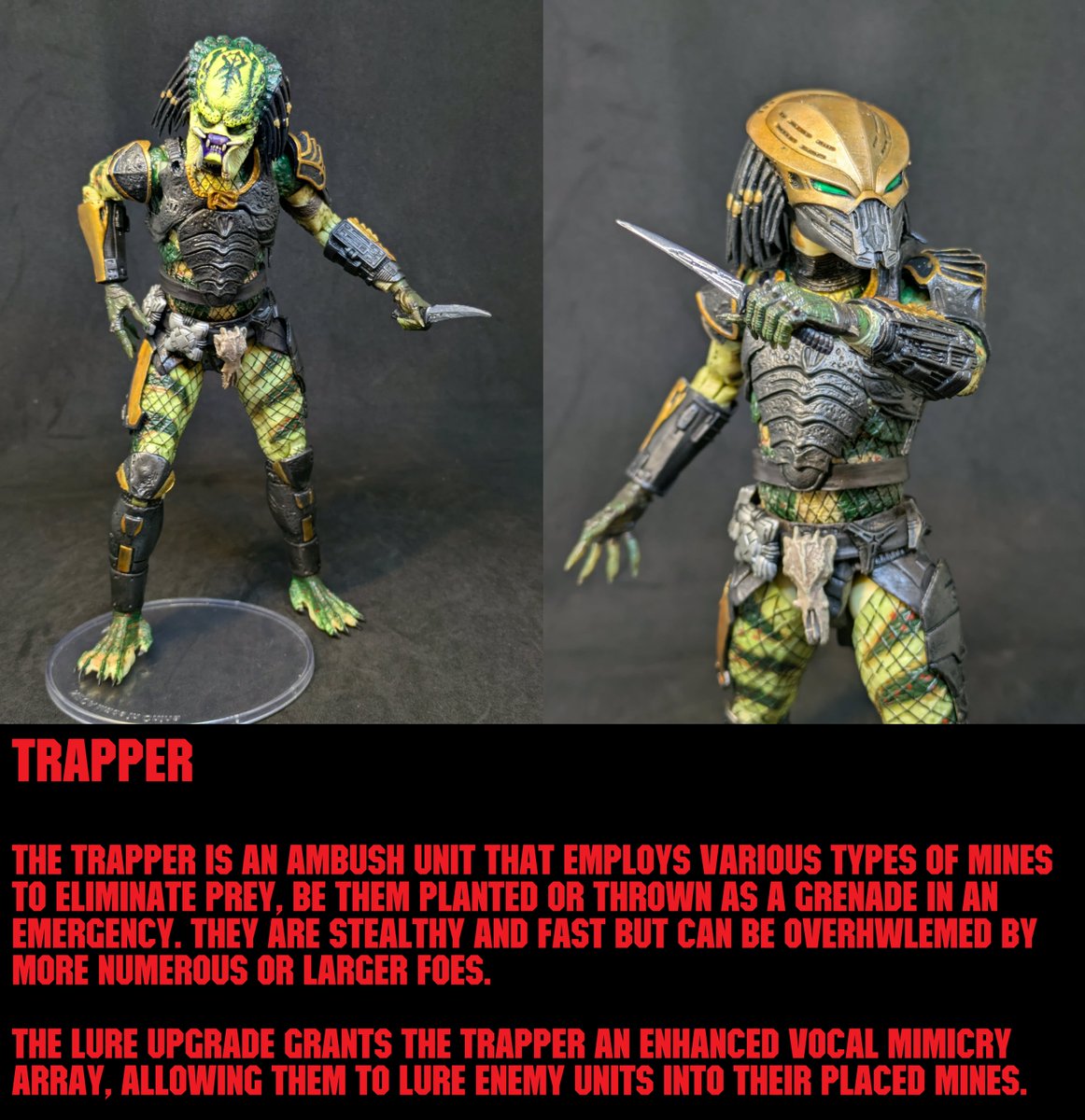 Dane Mercer tweet media