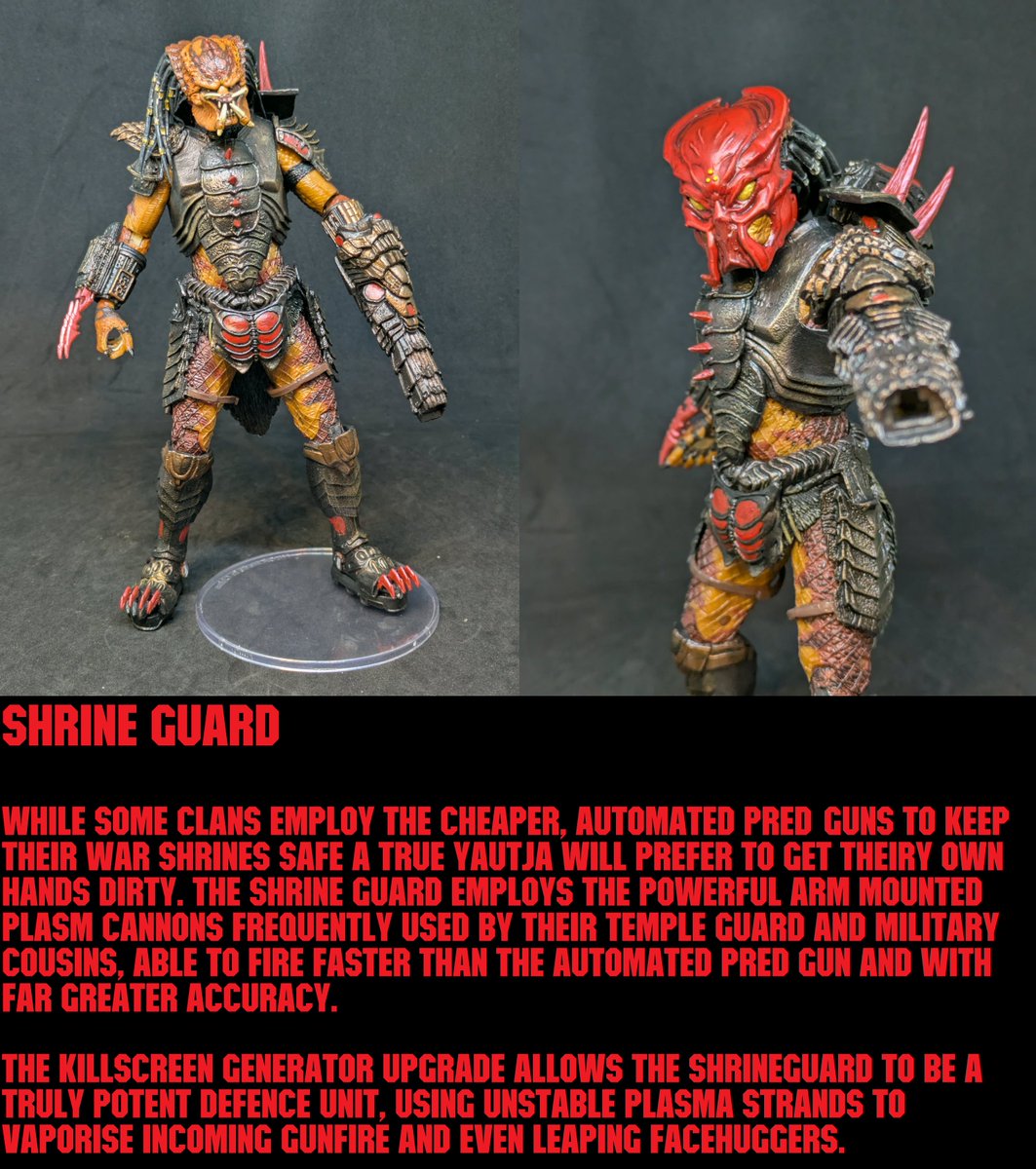 Dane Mercer tweet media