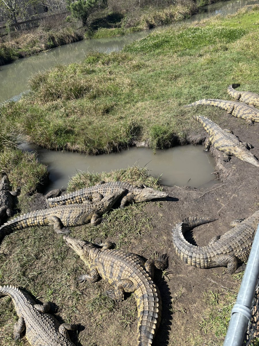 BBE 3rd Grade tweet media