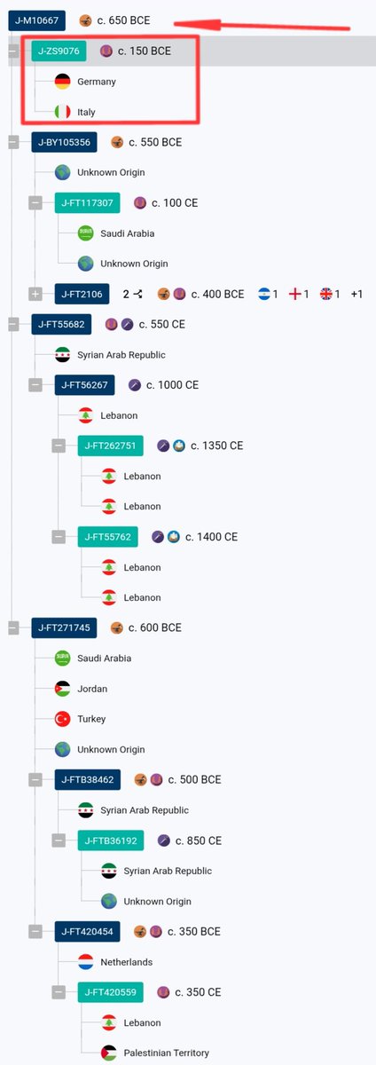 ثلاث عينات رفاة حتى الأن من الدراسة الأخيرة على التحور الأخطبوطي العملاق الأددي الكهلاني القحطانيJ1-FGC4415
أثنين على خط آل كرامه أمراء حلف تنوخ نمارة لخم
1️⃣ I15854.AG.TW:J1-FGC4415

2️⃣ I15866.AG.TW:J1-ZS9076>> J1-M10667

3️⃣ I22425.AG.TW:J1-M10667