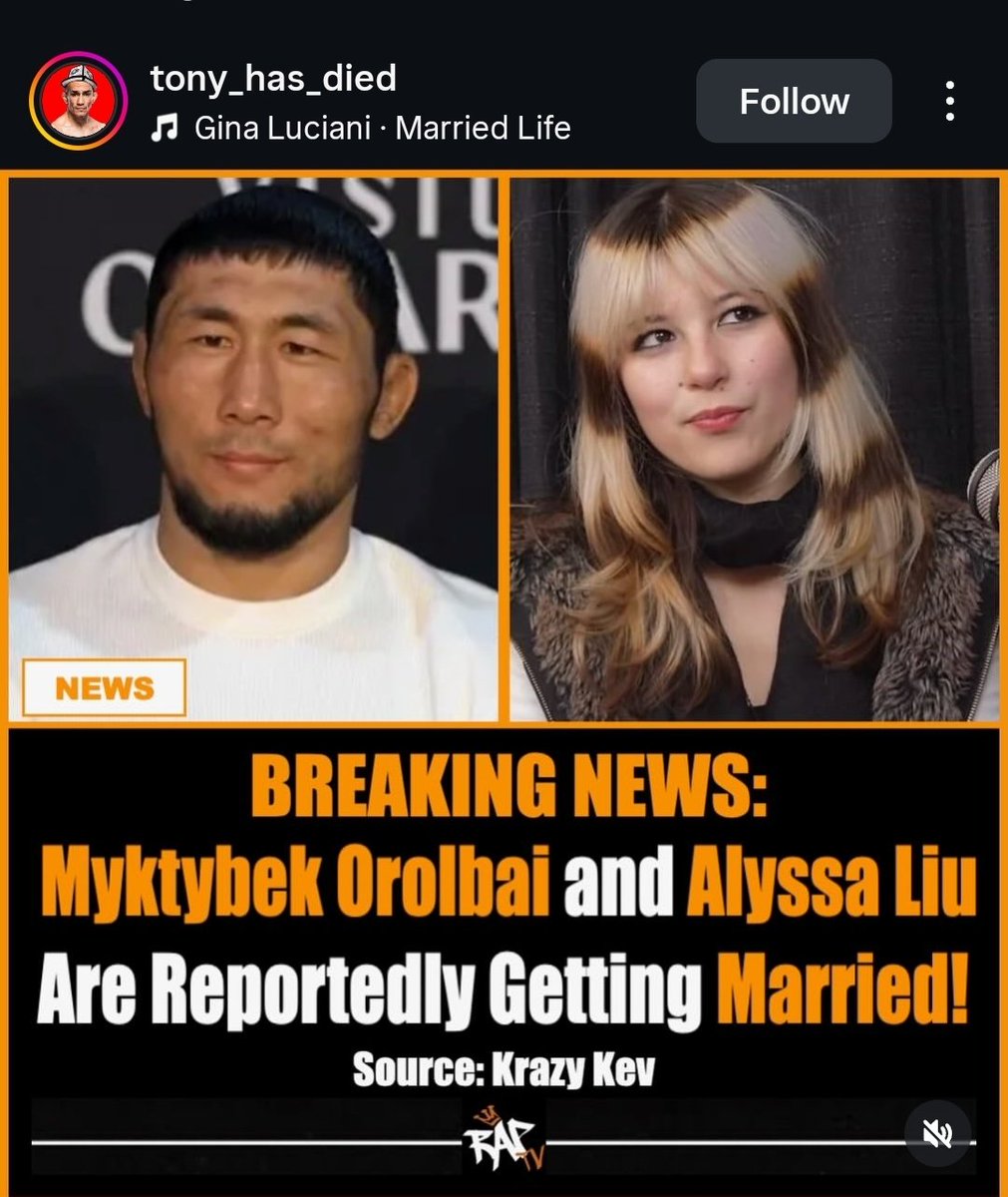 Marcin Tybura fan tweet media