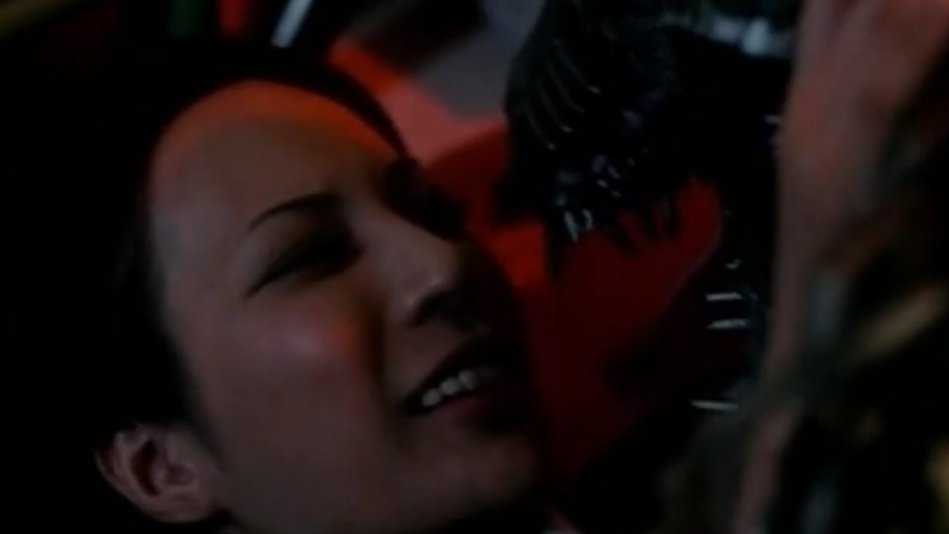 Mal dos Trópikos🦉 tweet media