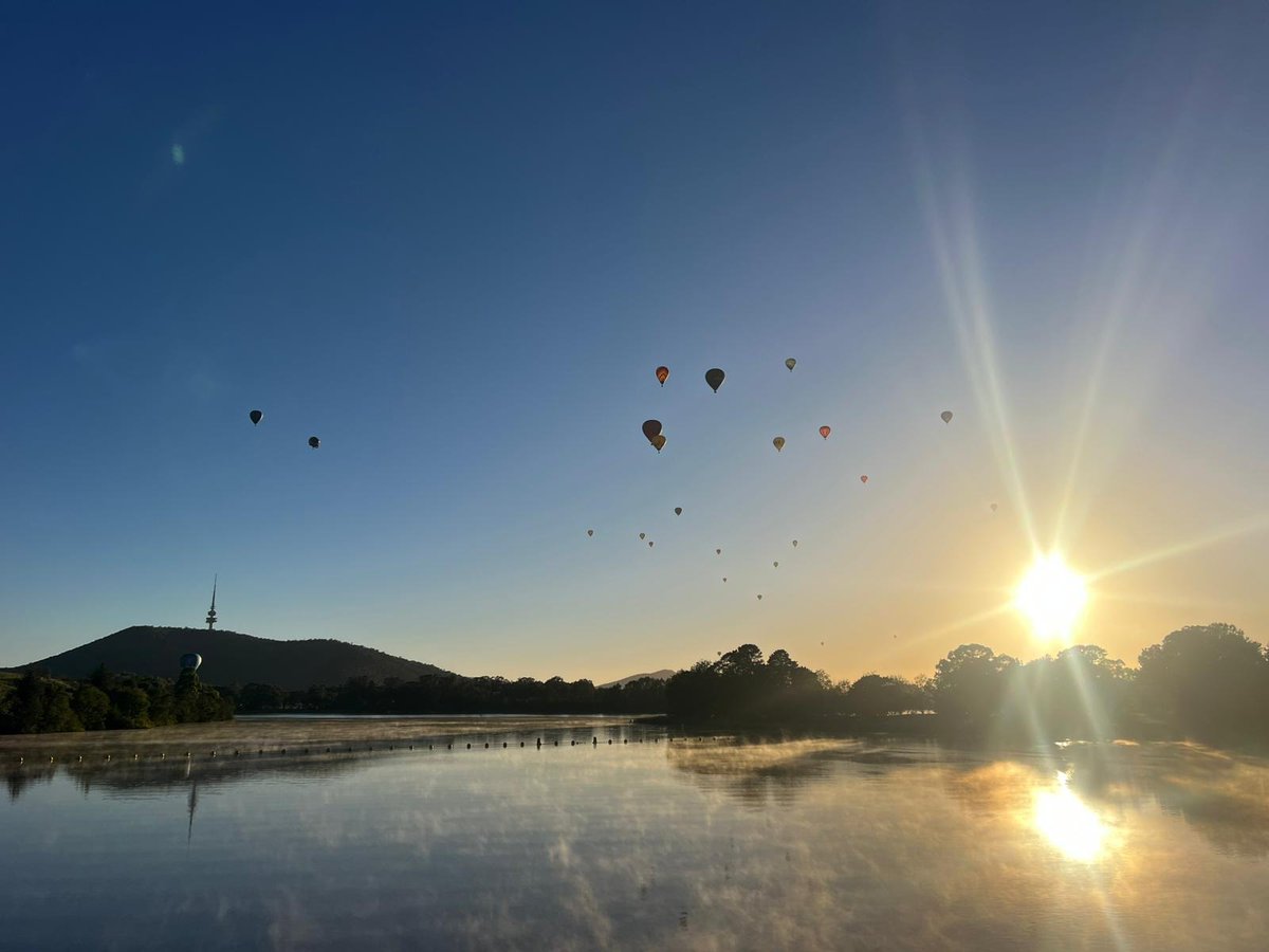 Tim Muirhead tweet media