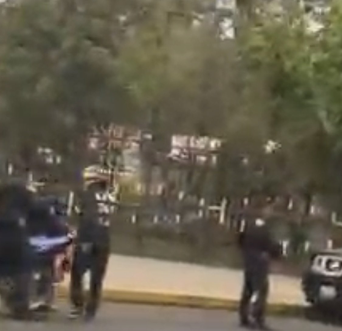 FabiAzzv's tweet photo. @PabloVazC  esto es posible secretario. Alcaldía tláhuac av la turba frente al bosque de tláhuac https://t.co/r1HiPiPCzI