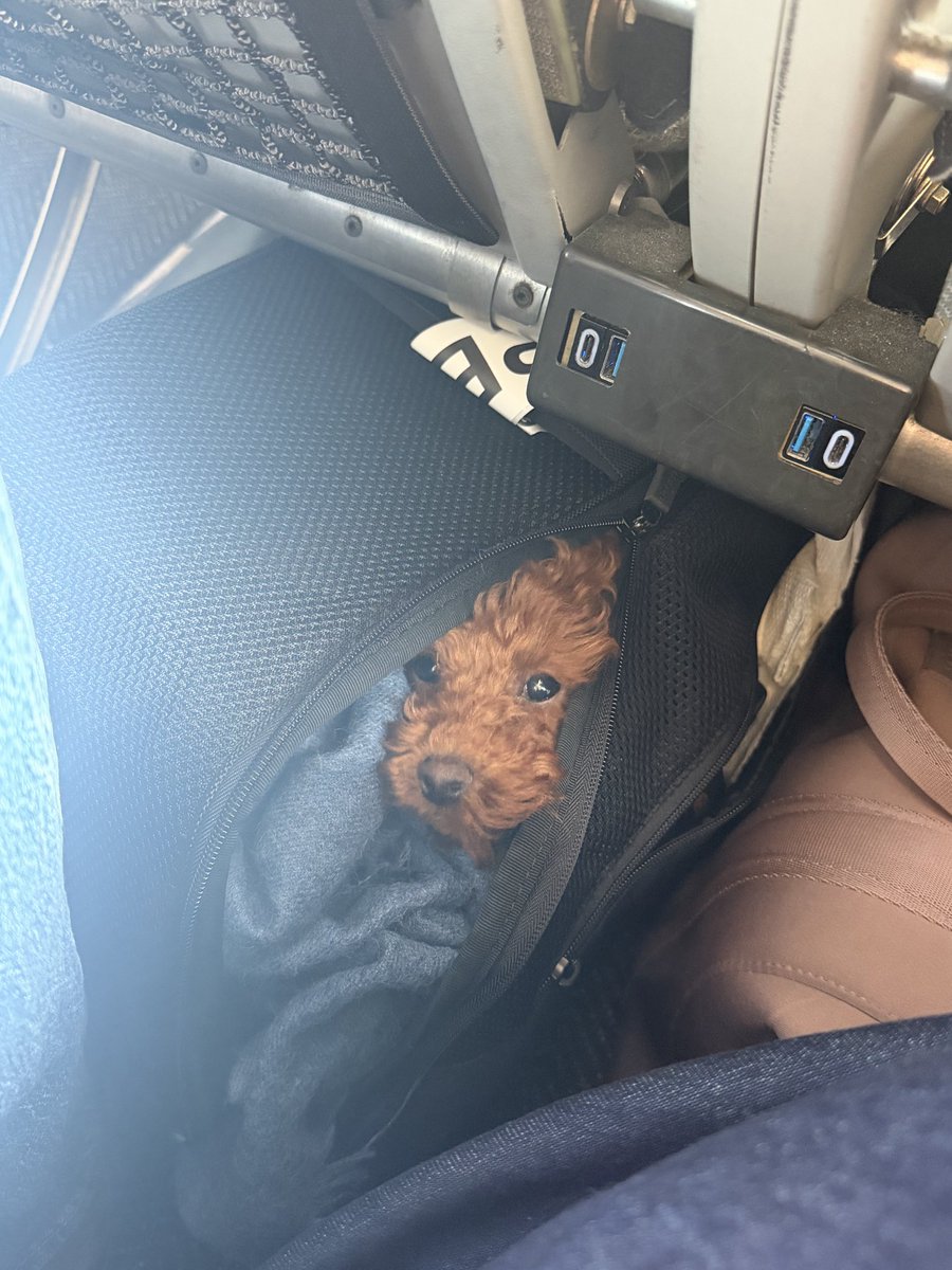 Max Tagher tweet media