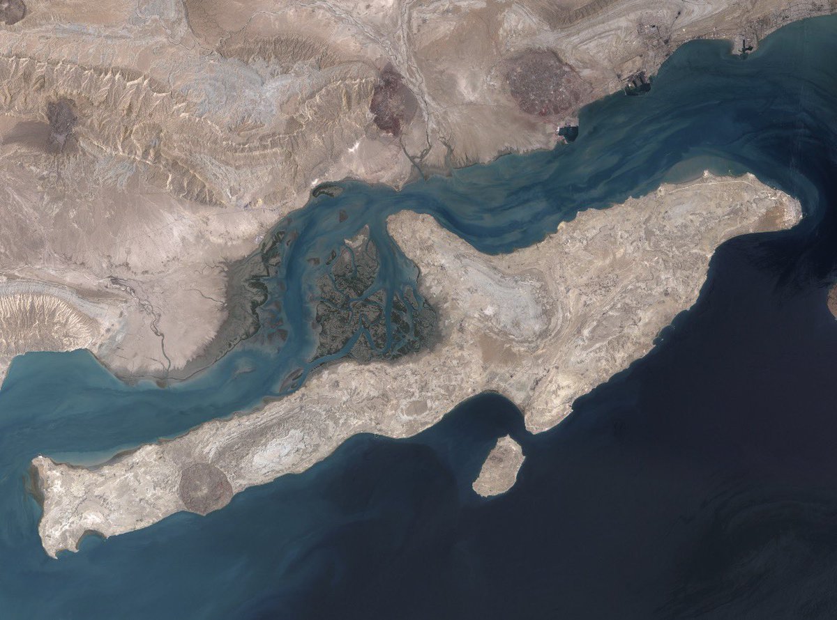 Dr. Sameh Mesallum tweet media