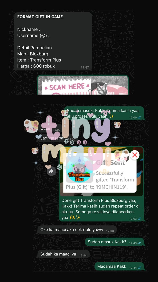 Mayisha, @ after dm tweet media