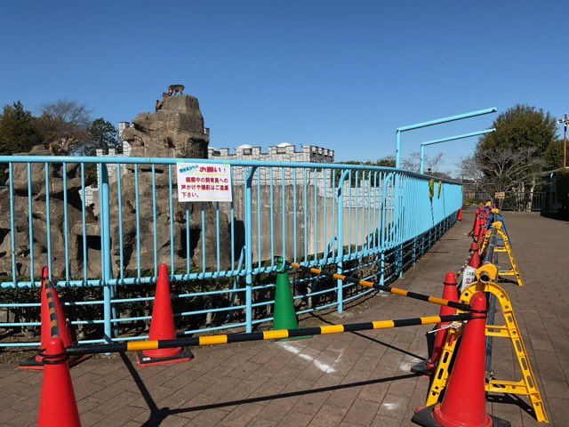 市川市動植物園（公式） tweet media