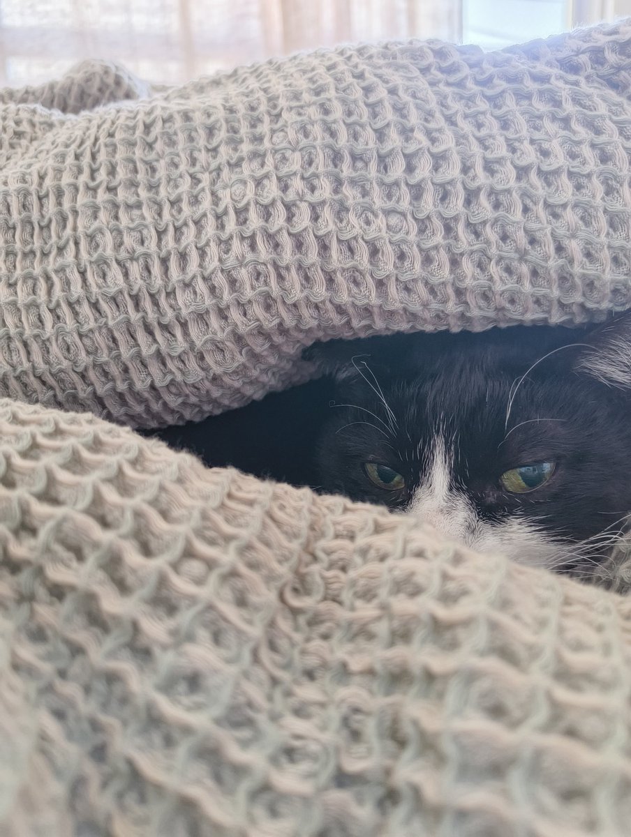 もず串 tweet media