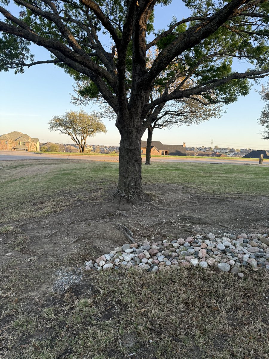 Hector Resendez - Trade School Secrets tweet media