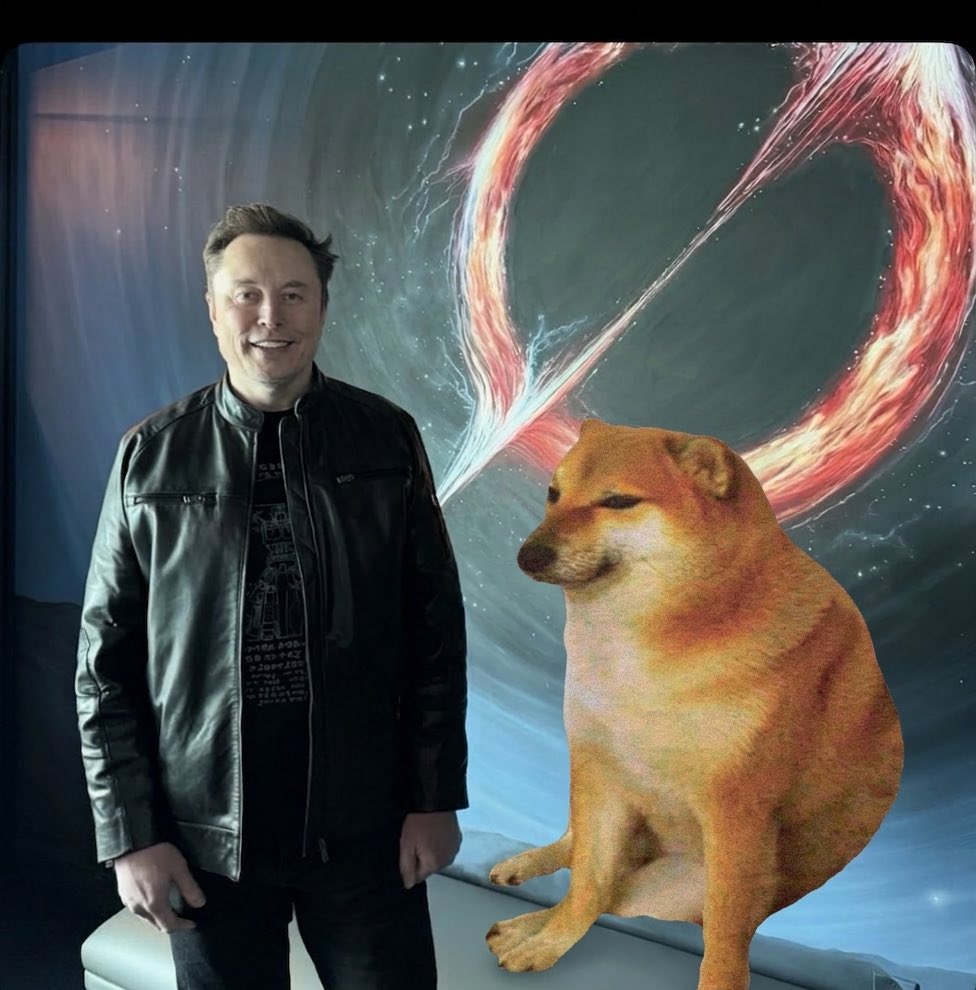 Bonk Thugz n Dogmoney tweet media