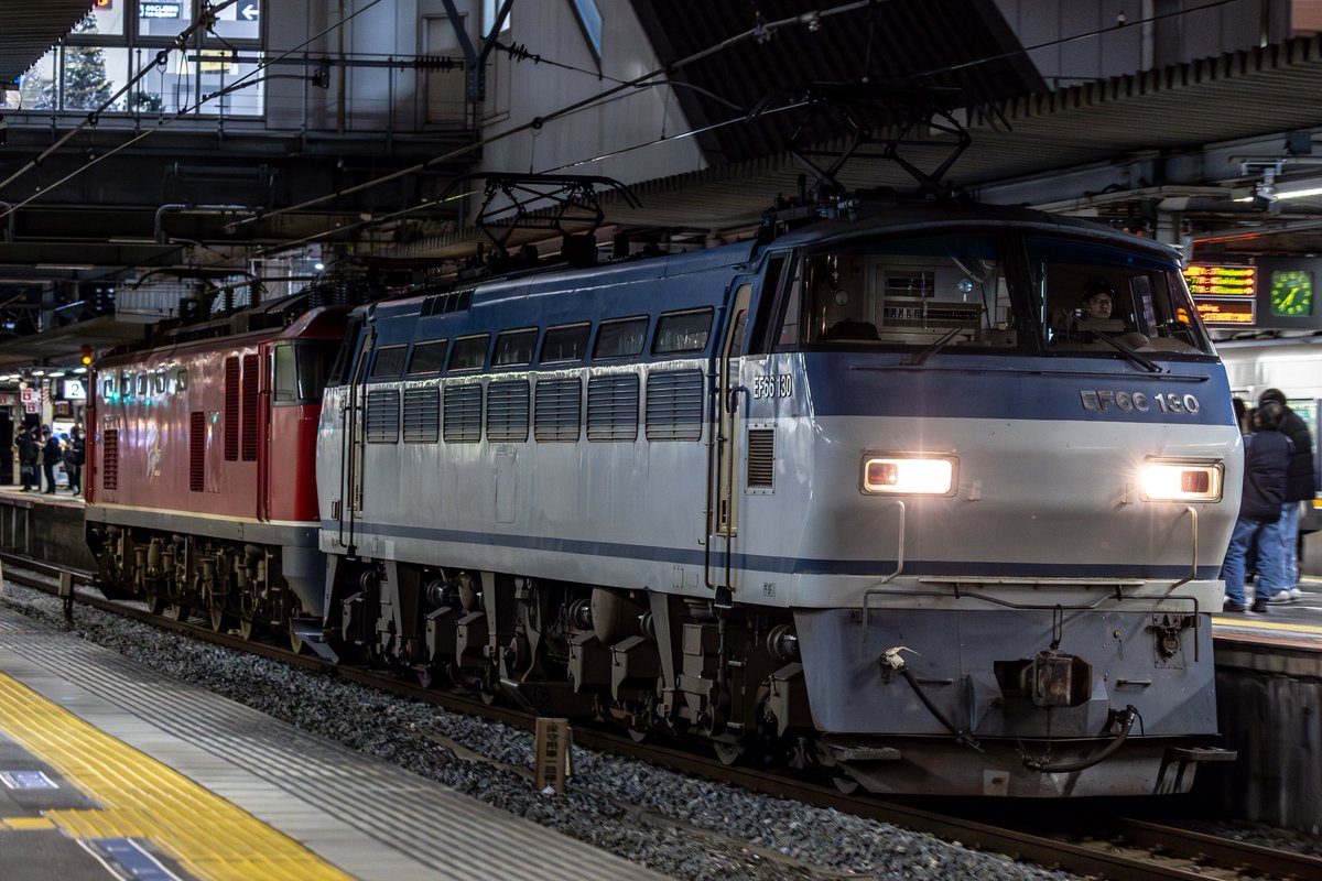 のっぽ tweet media