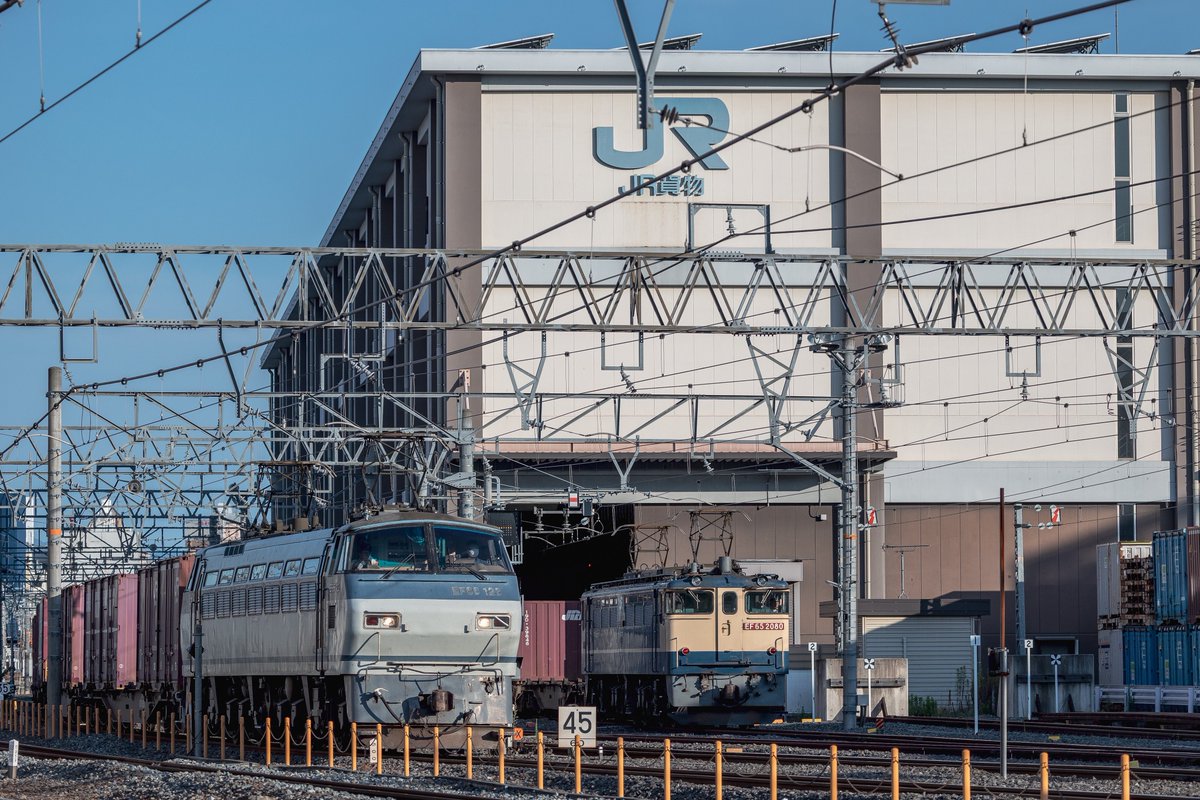 のっぽ tweet media