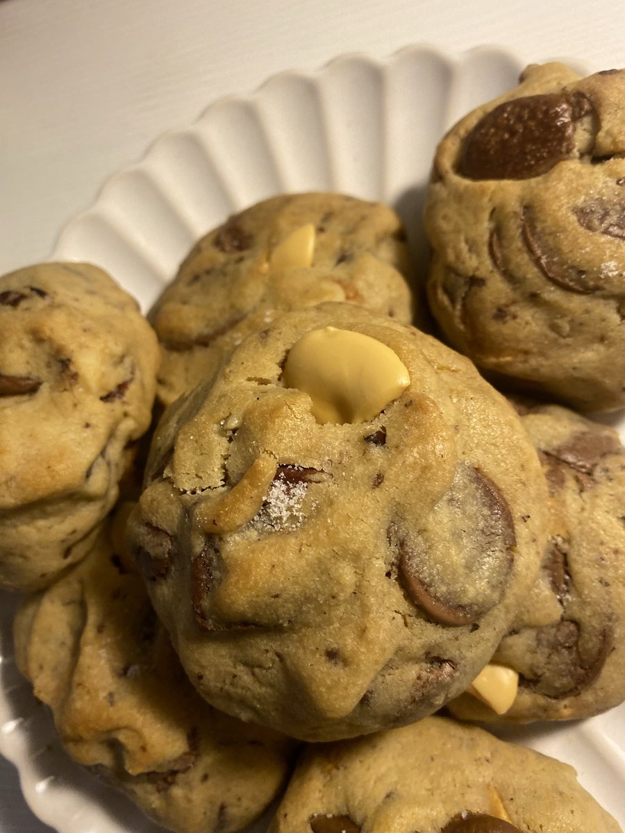 زْينبَ tweet media