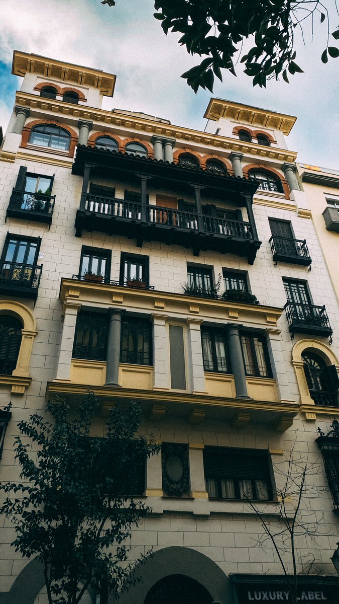 Patrick Van Negri tweet media