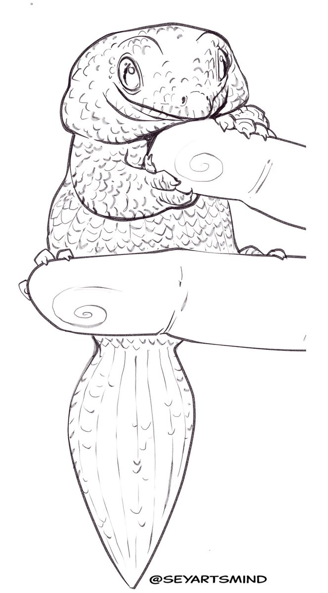 seyart💀🚀 tweet media