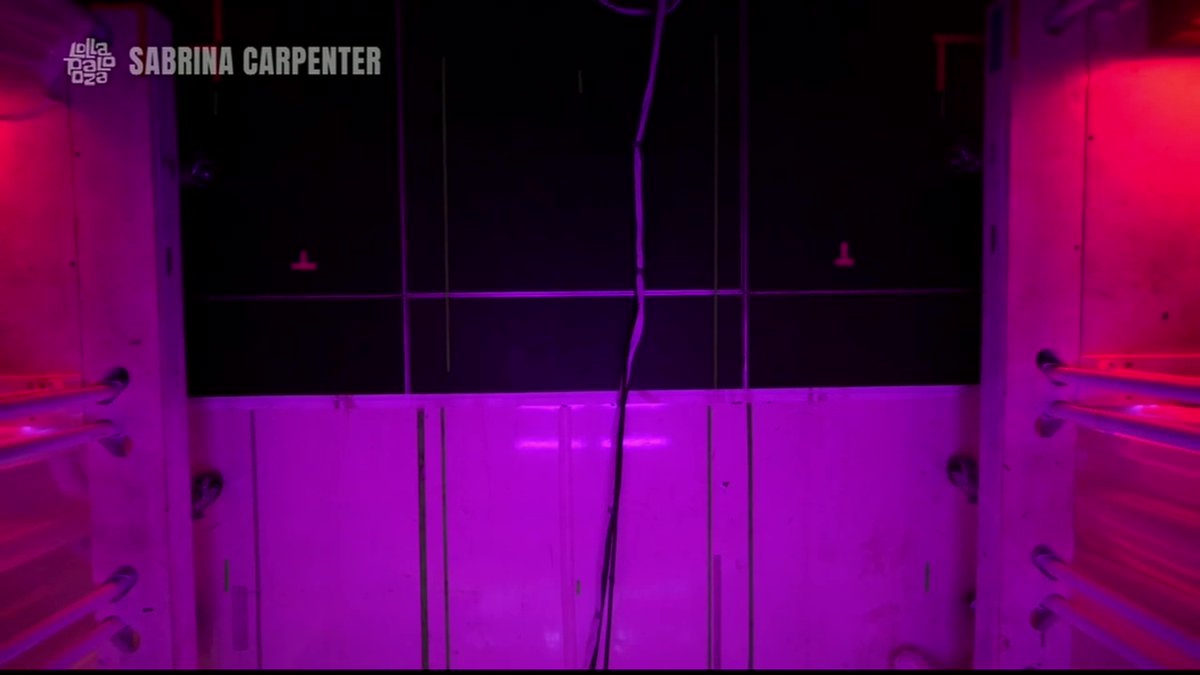 Nathan 🐾 tweet media