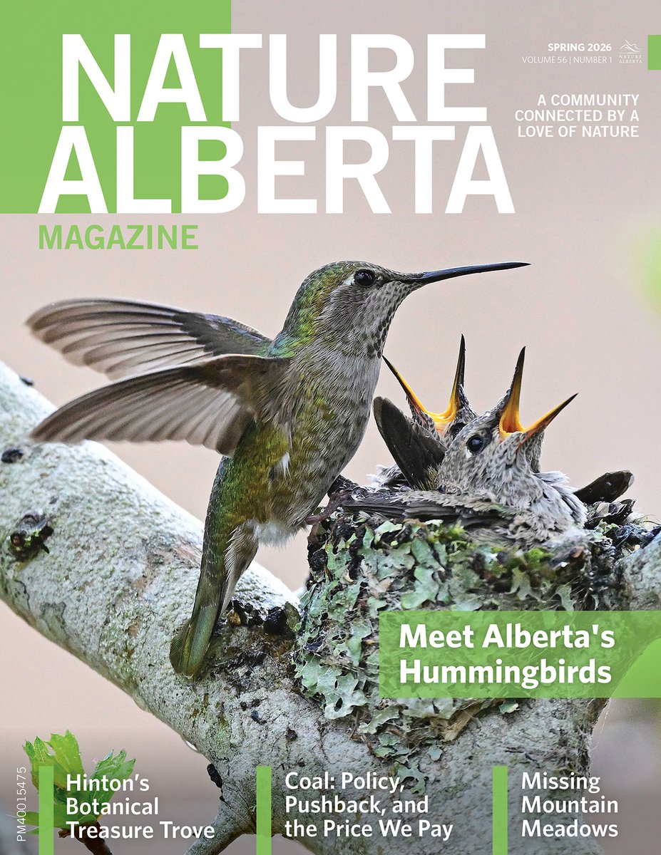 Nature Alberta tweet media