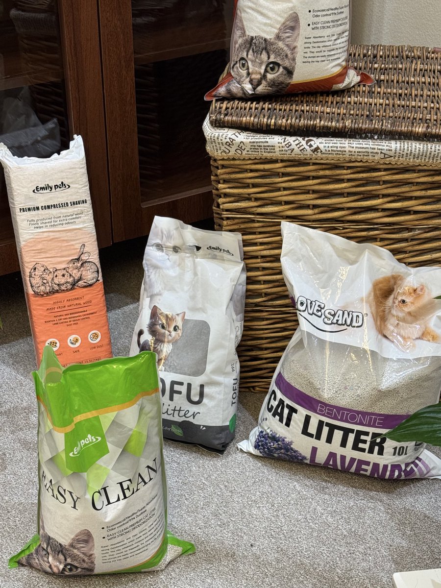 رهف UGC Creator 🪄 tweet media