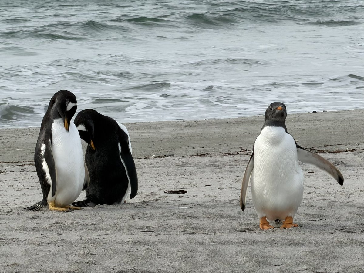 Gary Bembridge tweet media