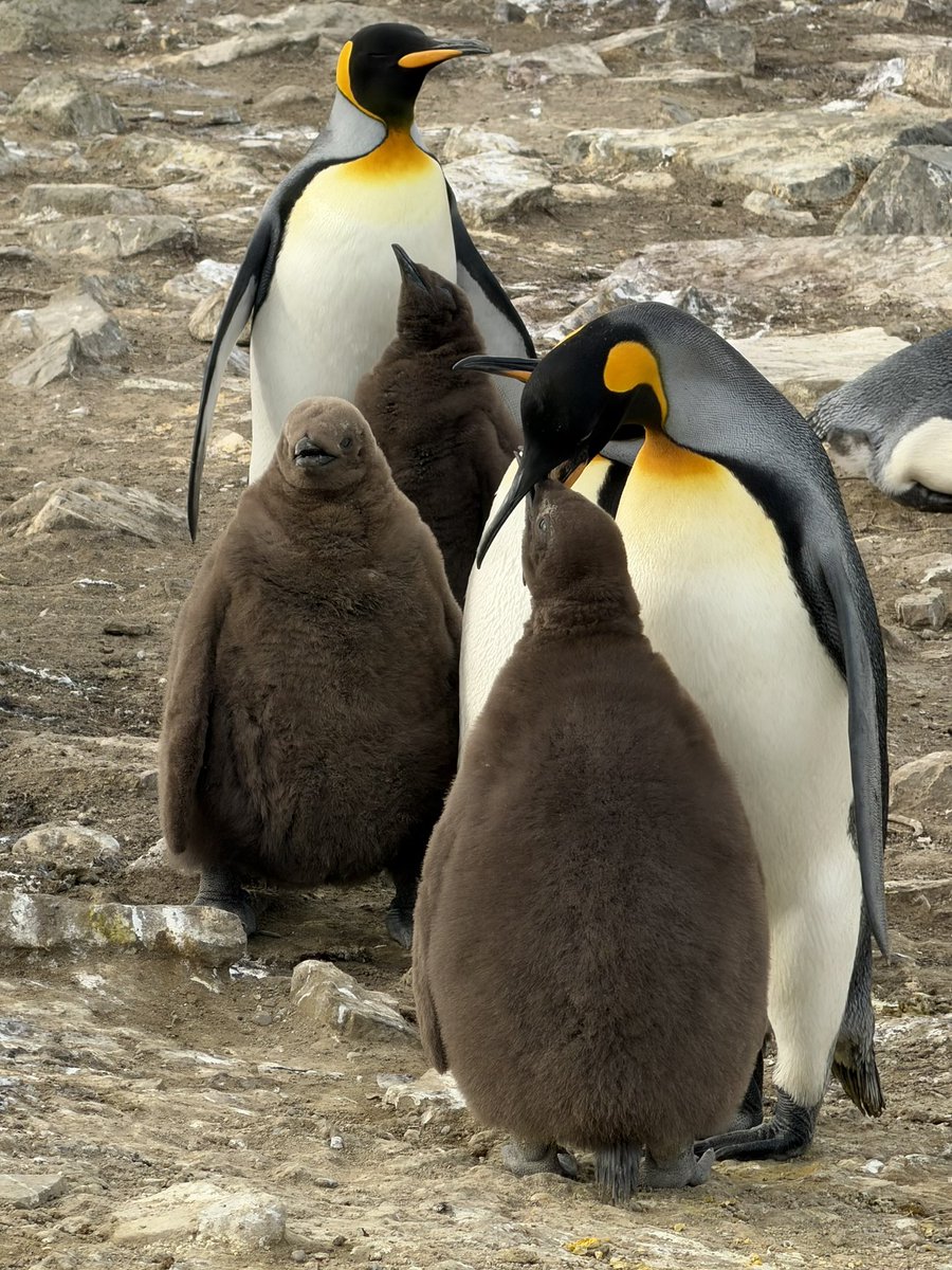 Gary Bembridge tweet media