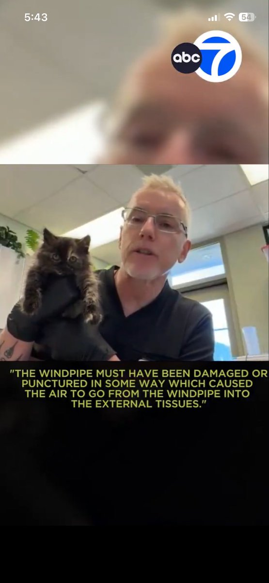 charlie no-face tweet media