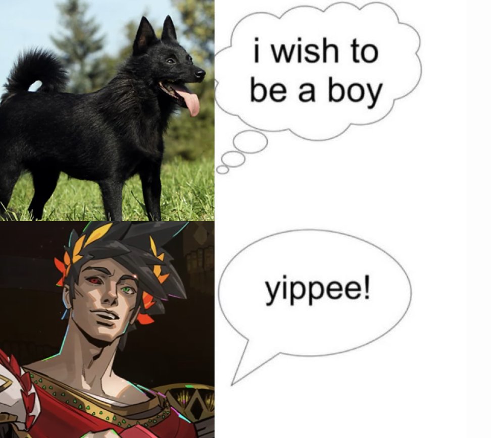 he's such a puppy-boy