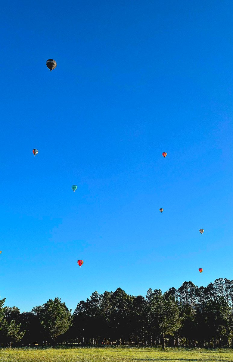 Tim Muirhead tweet media