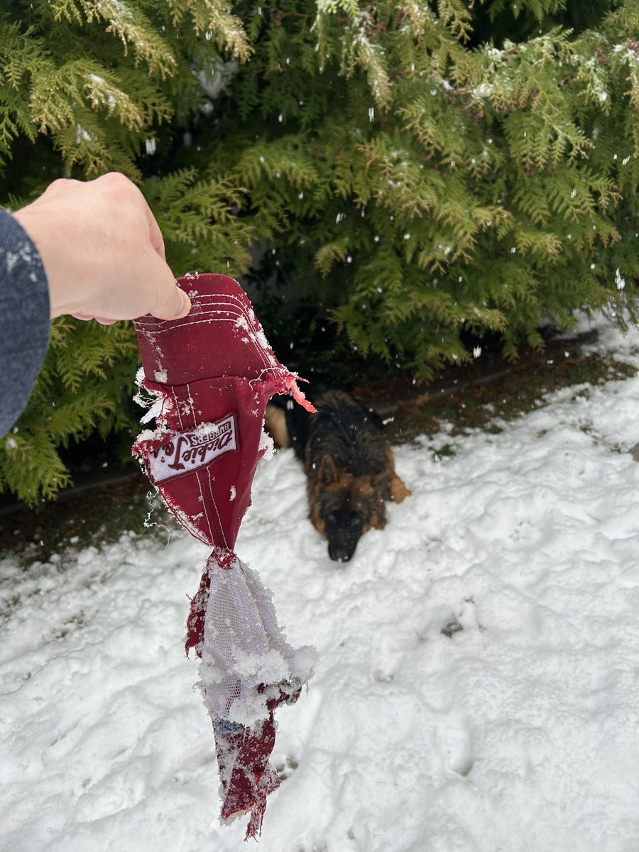 Matt Morse tweet media