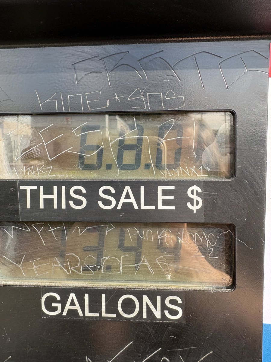 Patricia_D tweet media