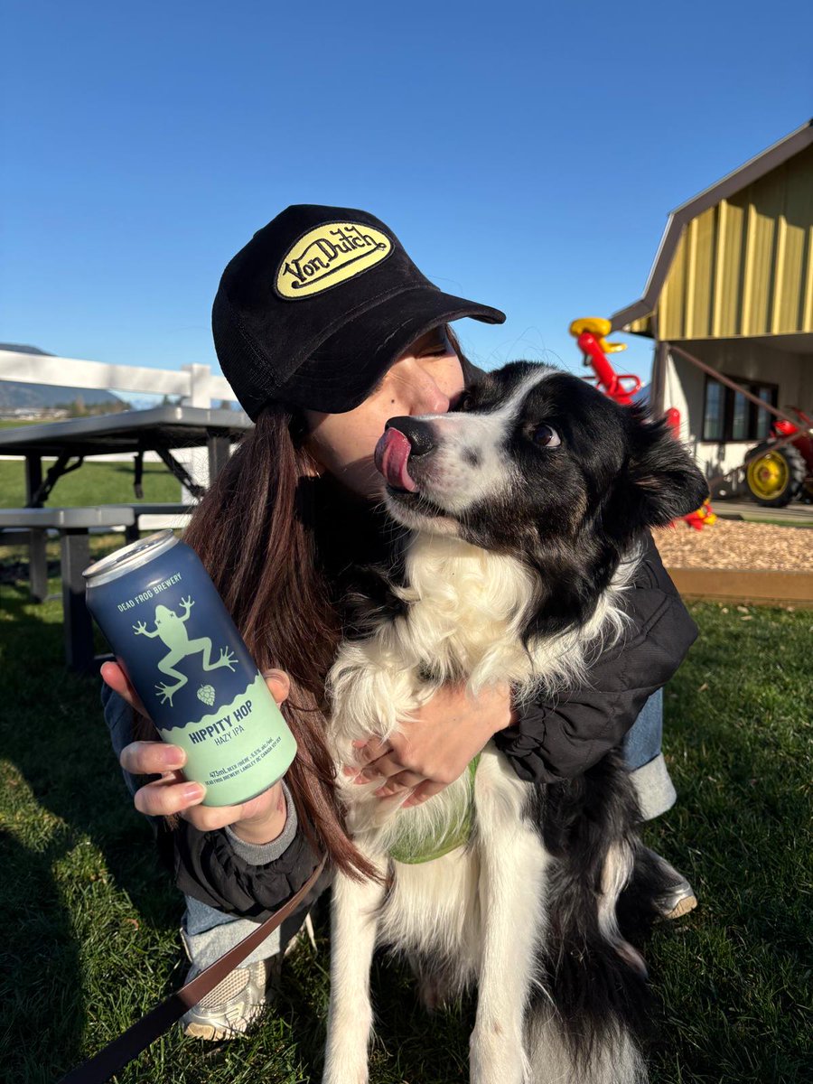 Dead Frog Brewery tweet media