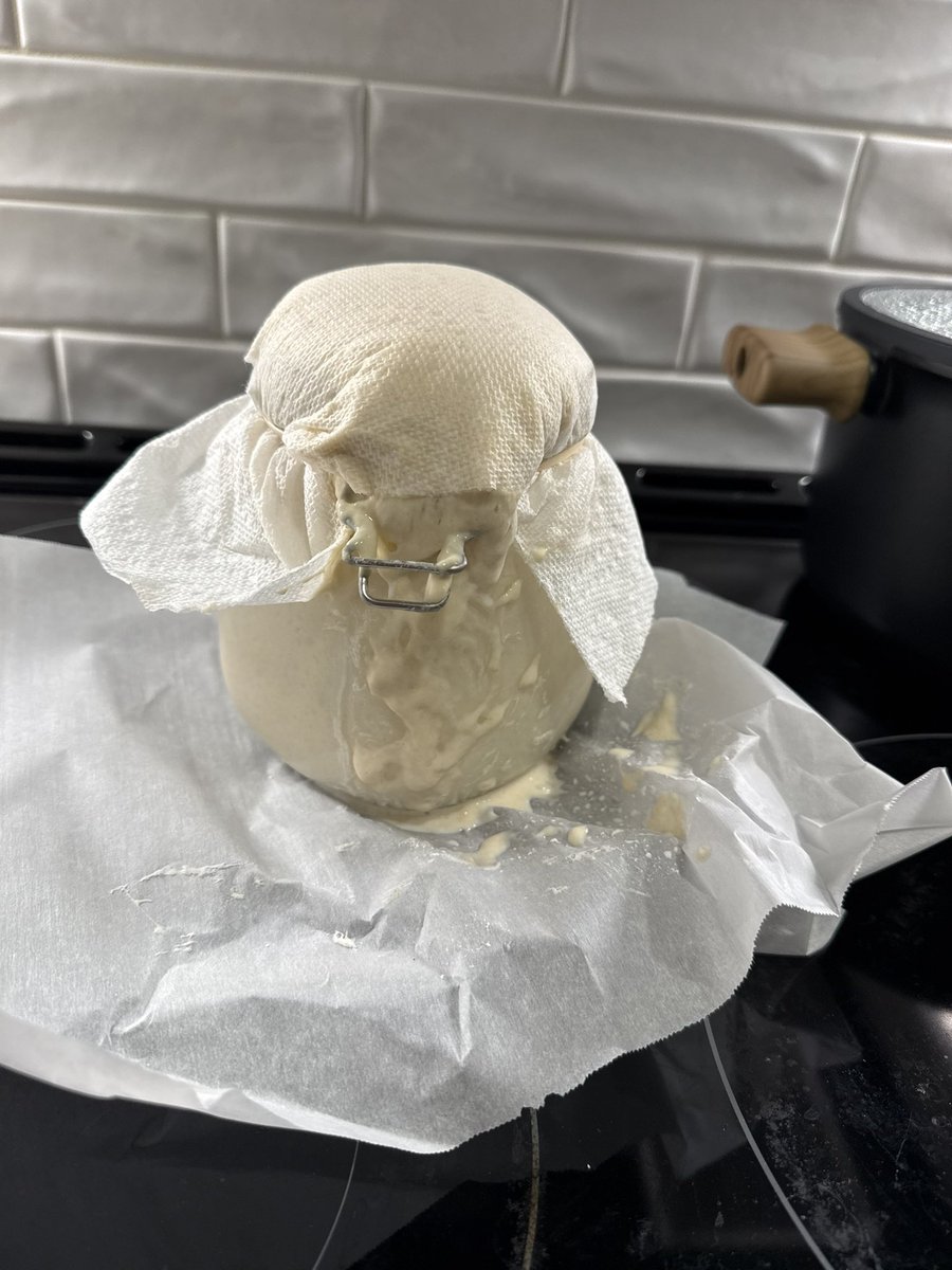 my sour dough starter is.. very alive