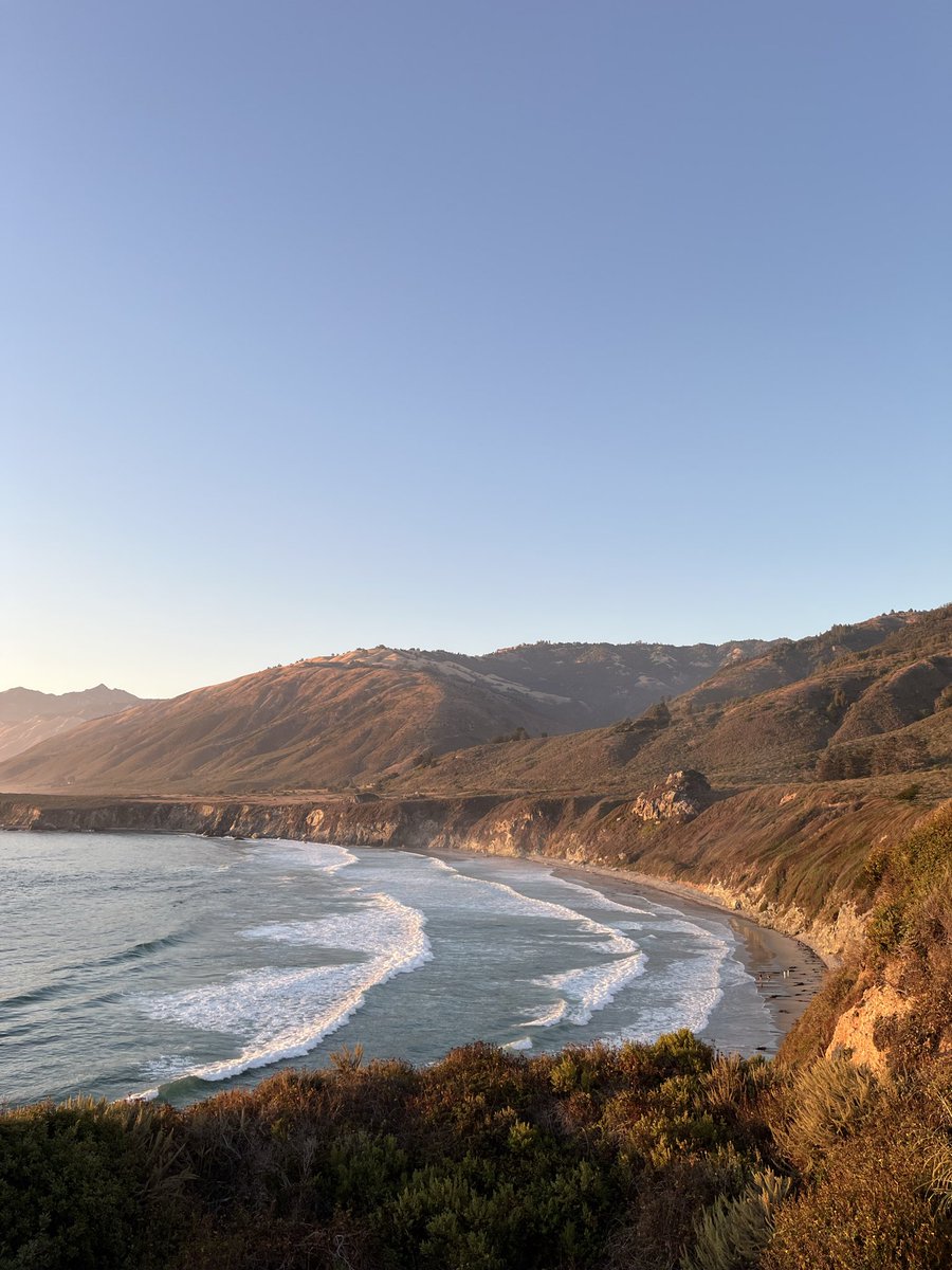 Breckin Caulfield tweet media