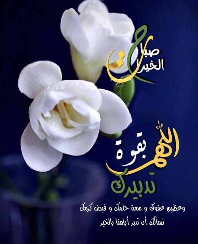 الأمل في الله tweet media