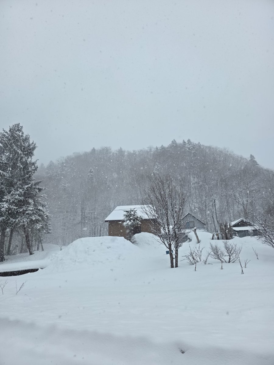 Make Gio Scotti Skinny Again Groyper tweet media