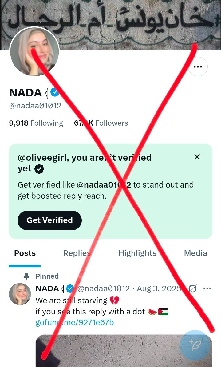 Olive 🌿 tweet media