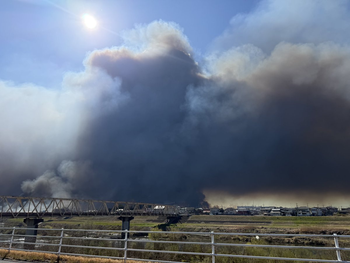 利美トレーナー tweet media