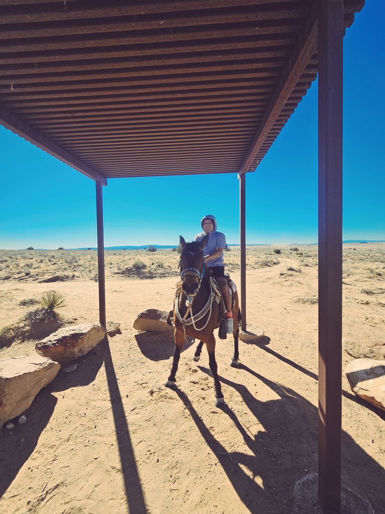 christ111an's tweet photo. horses don't stop they keep going https://t.co/bpNKTBiQrr