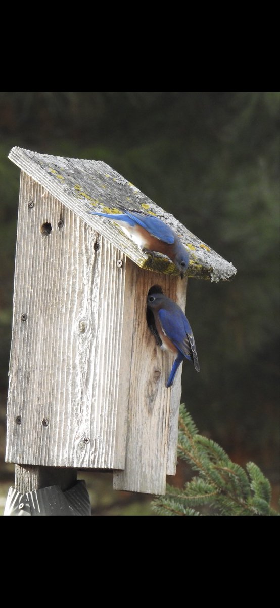 Tim Grady tweet media