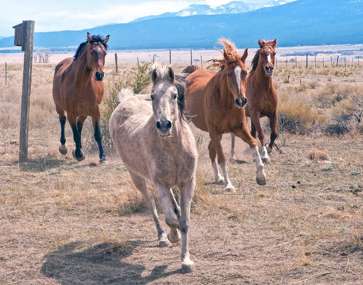 John  Bartelt tweet media