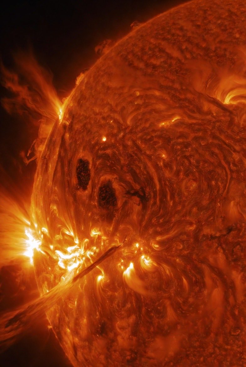 MathAndScience.com tweet media