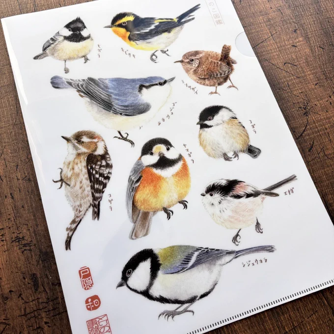 ZINEFEST長野出展のお知らせ 3月20日金 長野ターミナル会館4階 国際ホール とりのこ事務所ブース A9 『スズメとキノコの作品集』 コチラがZINEです 『言祝ぐすずめ』ポストカード 『A4クリアファイル・戸隠』 すずめのレターセット 野鳥の一筆箋 野鳥のポスター など