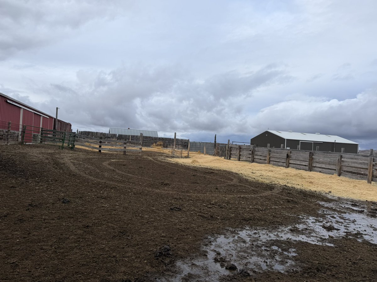 Steve Lalum tweet media